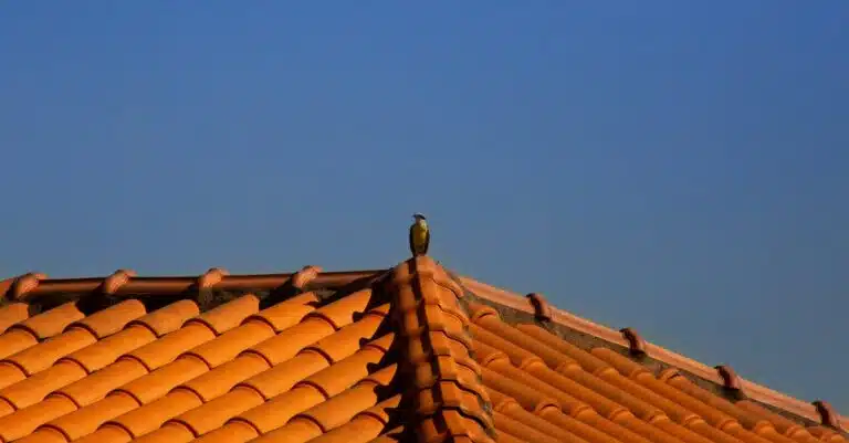 construction de maisons écologiques : découvrez nos solutions durables pour votre habitat