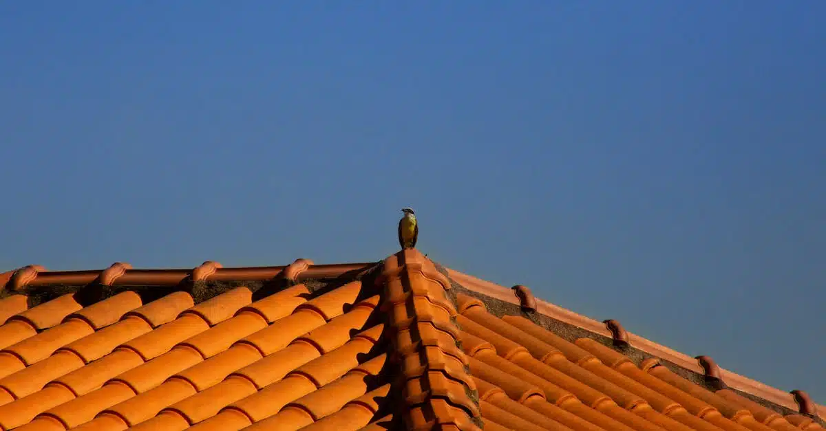 construction de maisons écologiques : découvrez nos solutions durables pour votre habitat