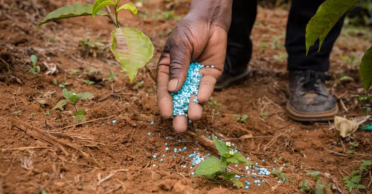 découvrez les avantages du compostage et apprenez à transformer vos déchets organiques en compost pour enrichir naturellement votre jardin. apprenez les techniques de compostage et adoptez une approche respectueuse de l'environnement.