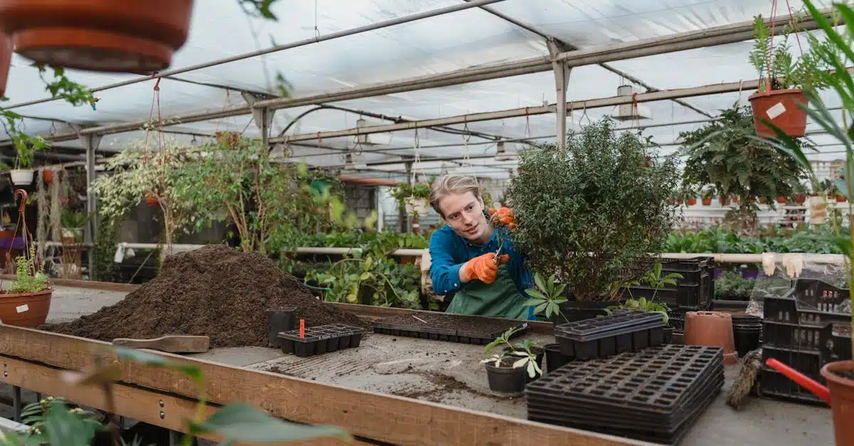 découvrez tous nos conseils et astuces pour le jardinage d'intérieur et la culture des plantes en pots avec indoor gardening.